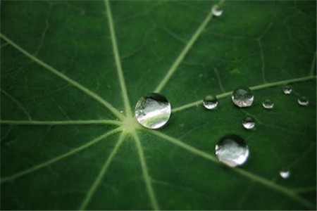 云南自考屬于第幾學歷？